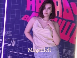 Meganfelt