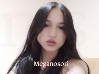 Meganosori