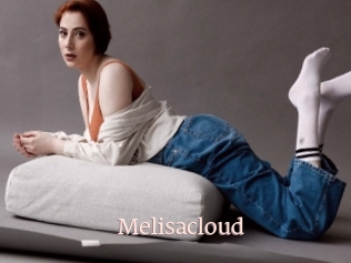 Melisacloud