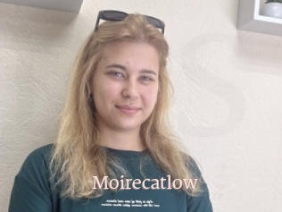 Moirecatlow