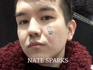 NATE_SPARKS