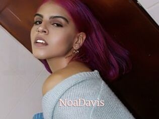 NoaDavis