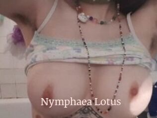 Nymphaea_Lotus