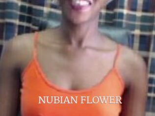 _NUBIAN_FLOWER_