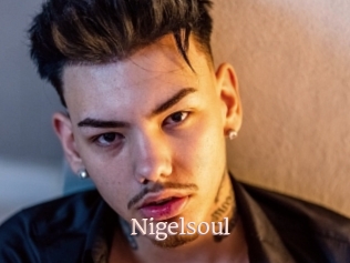 Nigelsoul