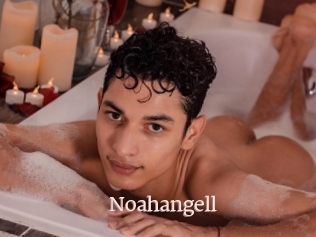 Noahangell