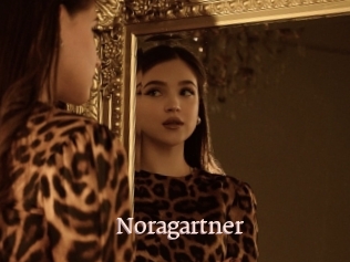 Noragartner