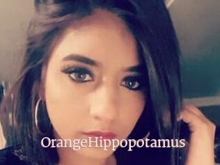 OrangeHippopotamus