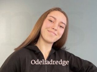 Odeliadredge