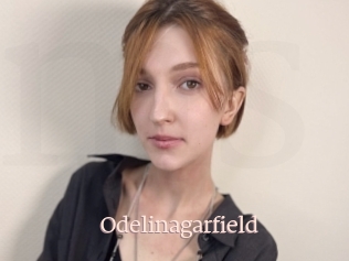 Odelinagarfield