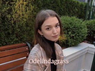 Odelindagrass