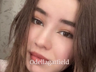 Odellagarfield