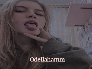 Odellahamm