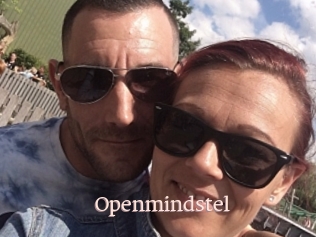 Openmindstel