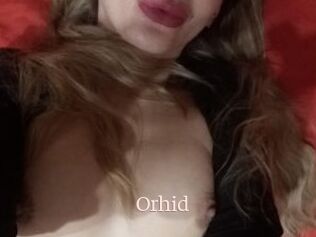 Orhid