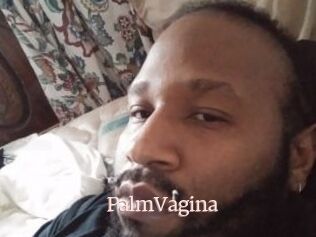 PalmVagina
