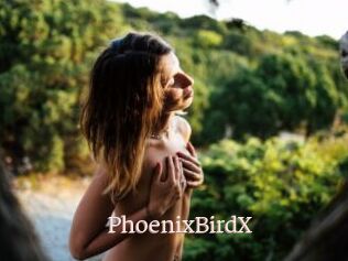 PhoenixBirdX