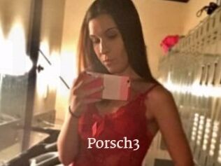 Porsch3