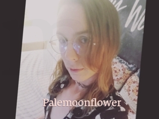 Palemoonflower