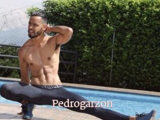 Pedrogarzon