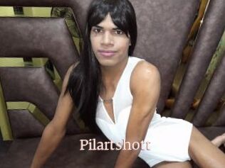 Pilartshott