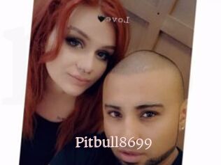 Pitbull8699