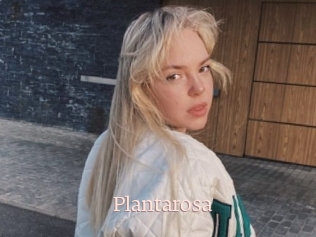Plantarosa