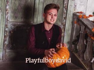 Playfulboydavid