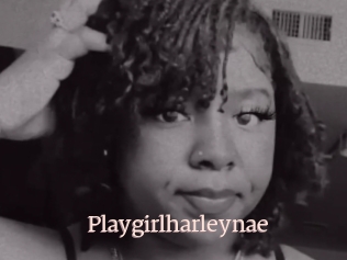 Playgirlharleynae