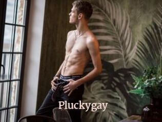 Pluckygay
