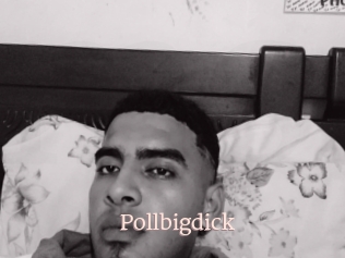 Pollbigdick