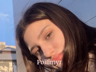 Pollimyr