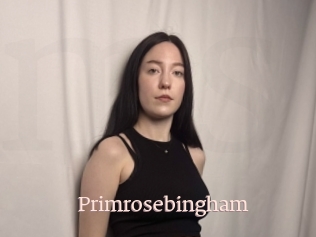 Primrosebingham
