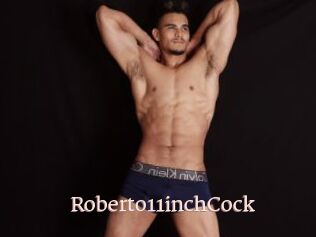 Roberto11inchCock