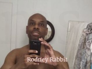 Rodney_Rabbit