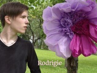 Rodrigie