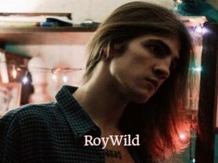 RoyWild