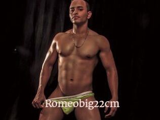 Romeobig22cm