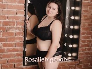 Rosaliebigboobs