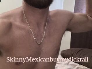 SkinnyMexicanbutmydicktall