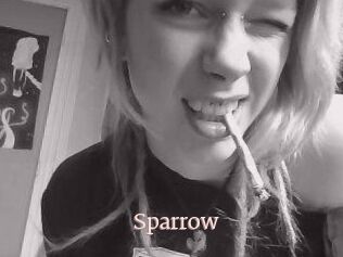 Sparrow