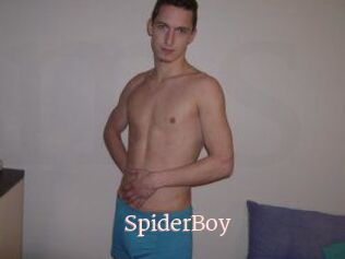 SpiderBoy