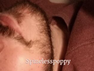 Spinelesspoppy