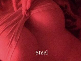 Steel
