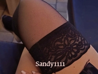 Sandy1111
