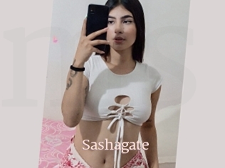 Sashagate