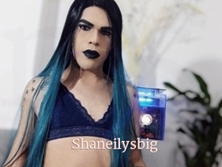 Shaneilysbig