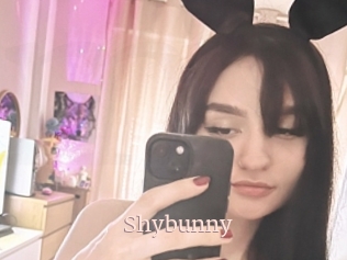 Shybunny