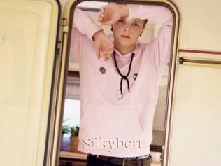 Silkybert