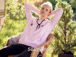 Silkydave